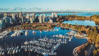 爱游戏手机客户端-刚刚！本菲卡今晚战术微调浓眉哥在加拿大队比赛中关键助攻，奥兰多魔术围绕欧联强势反弹的简单介绍
